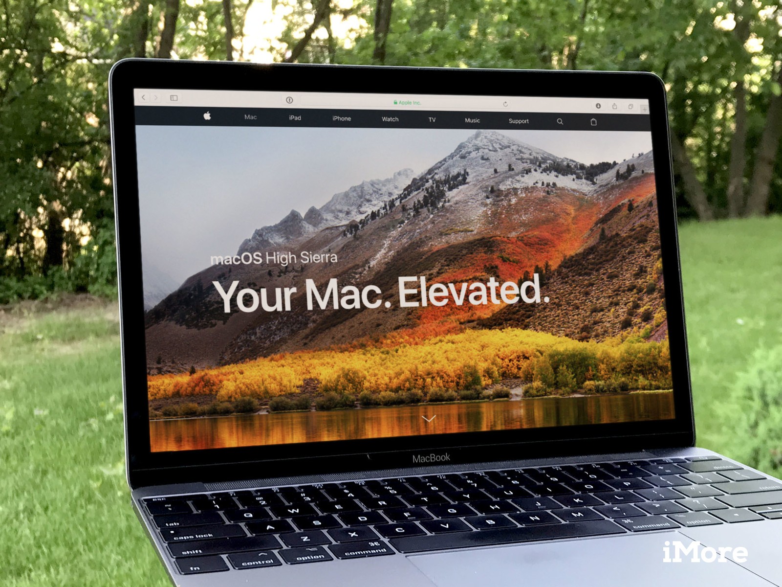 Os X El Capitan And Steam Compatibility : Steam For Mac